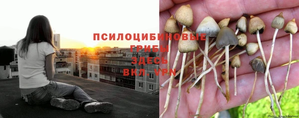 кокс Аркадак