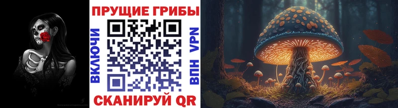 Псилоцибиновые грибы MAGIC MUSHROOMS Звенигово